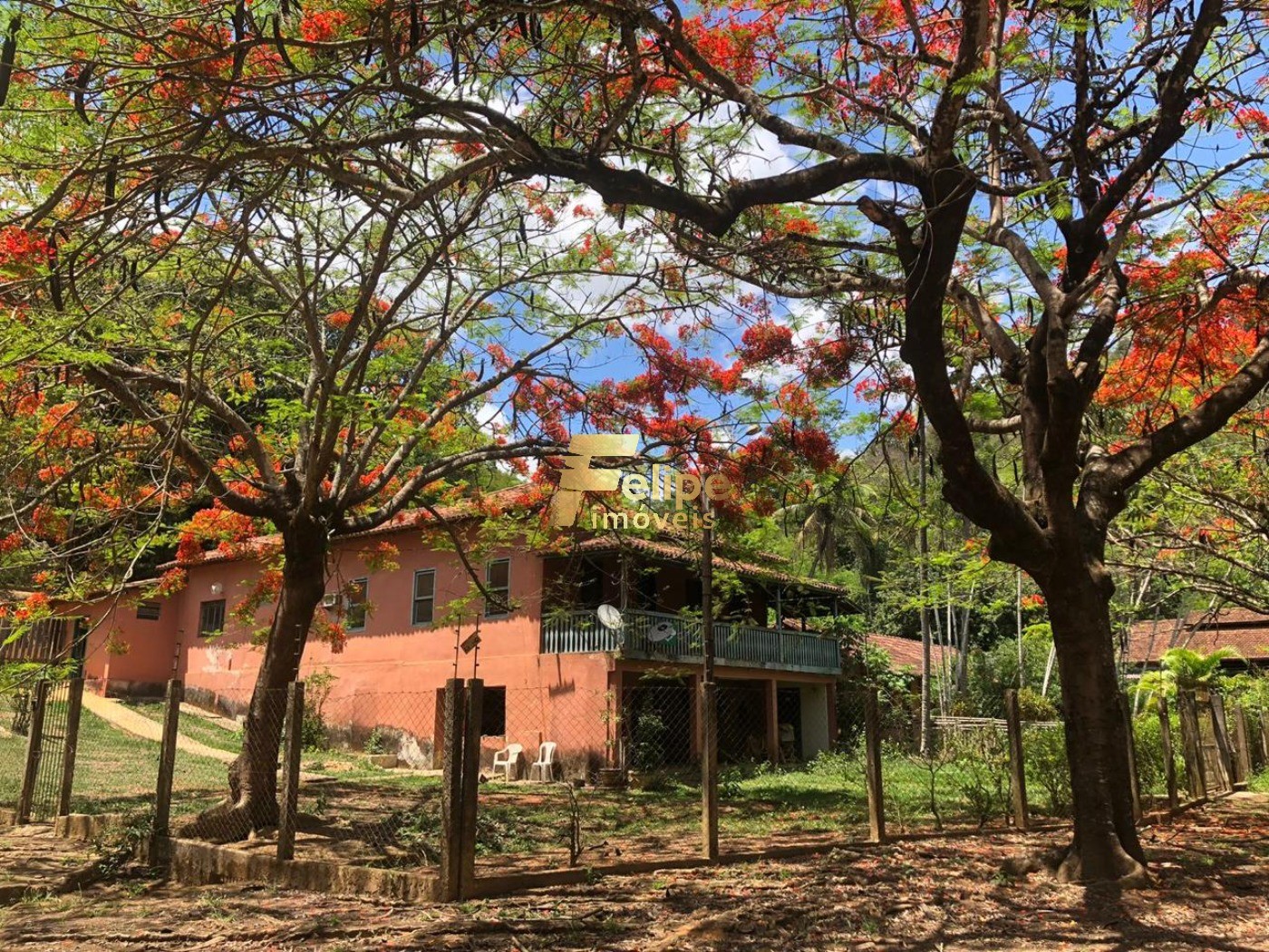 Fazenda, 4600 m² - Foto 2