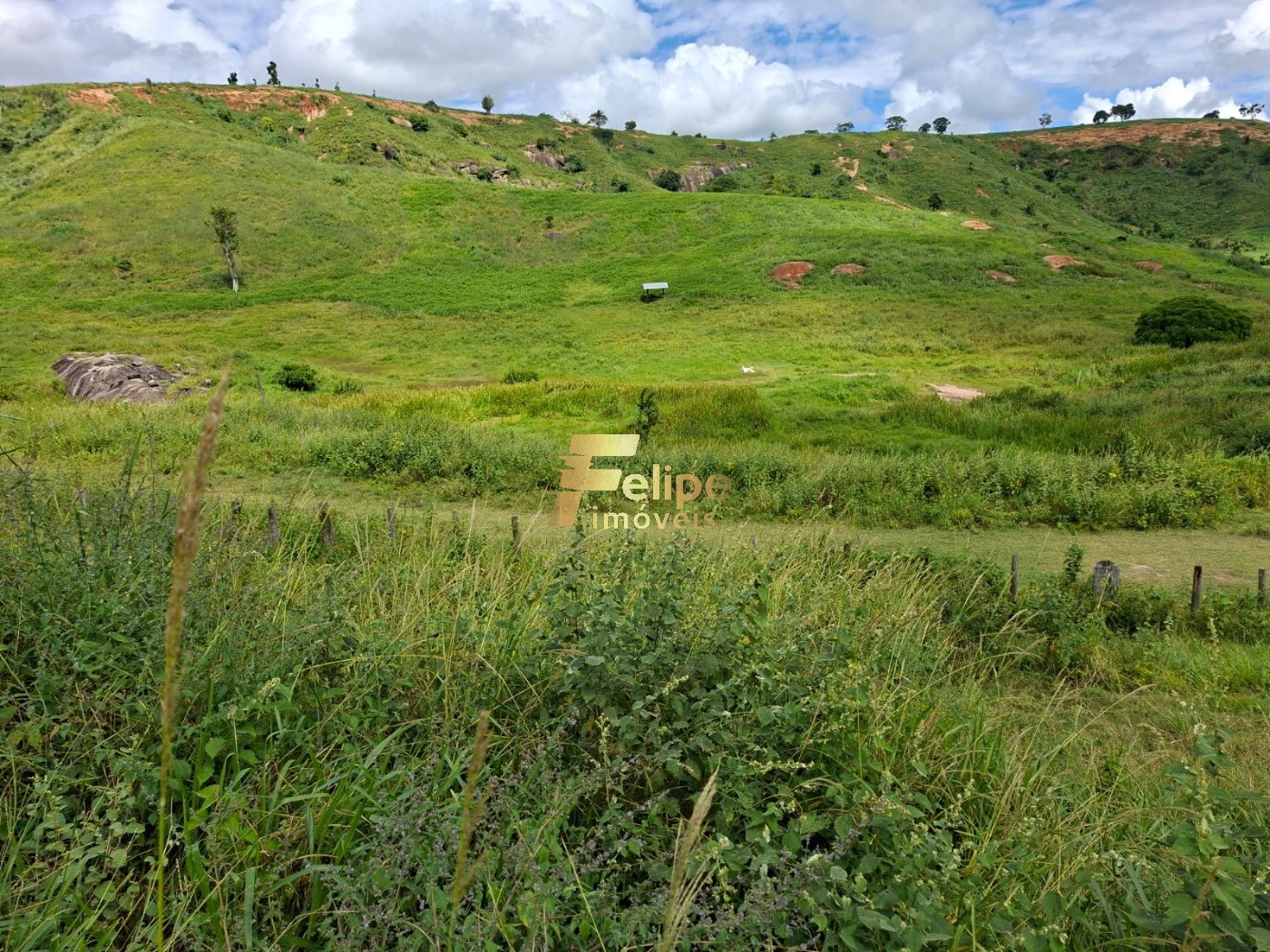 Fazenda, 142 m² - Foto 2
