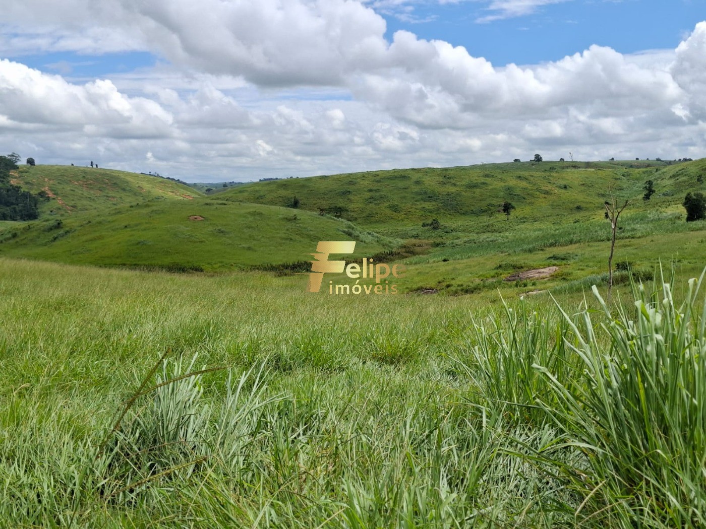 Fazenda, 142 m² - Foto 14