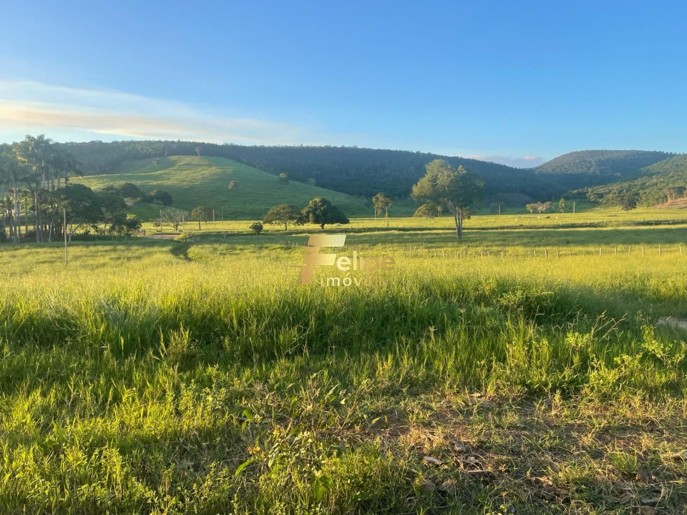 Fazenda, 272 m² - Foto 5
