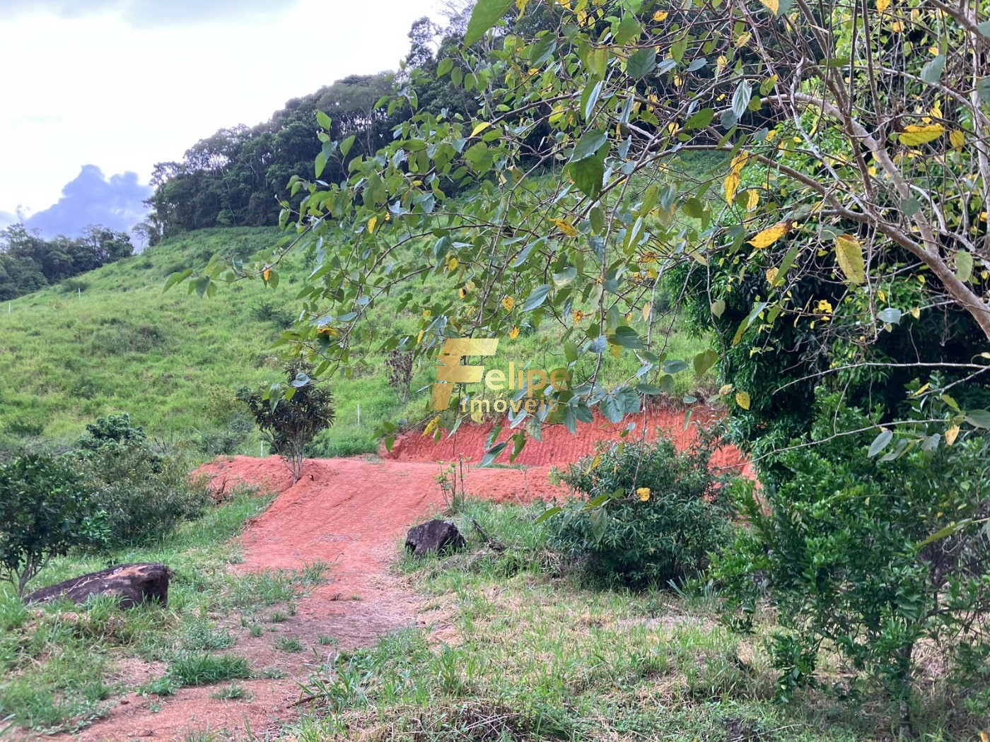 Chácara, 2 hectares - Foto 10