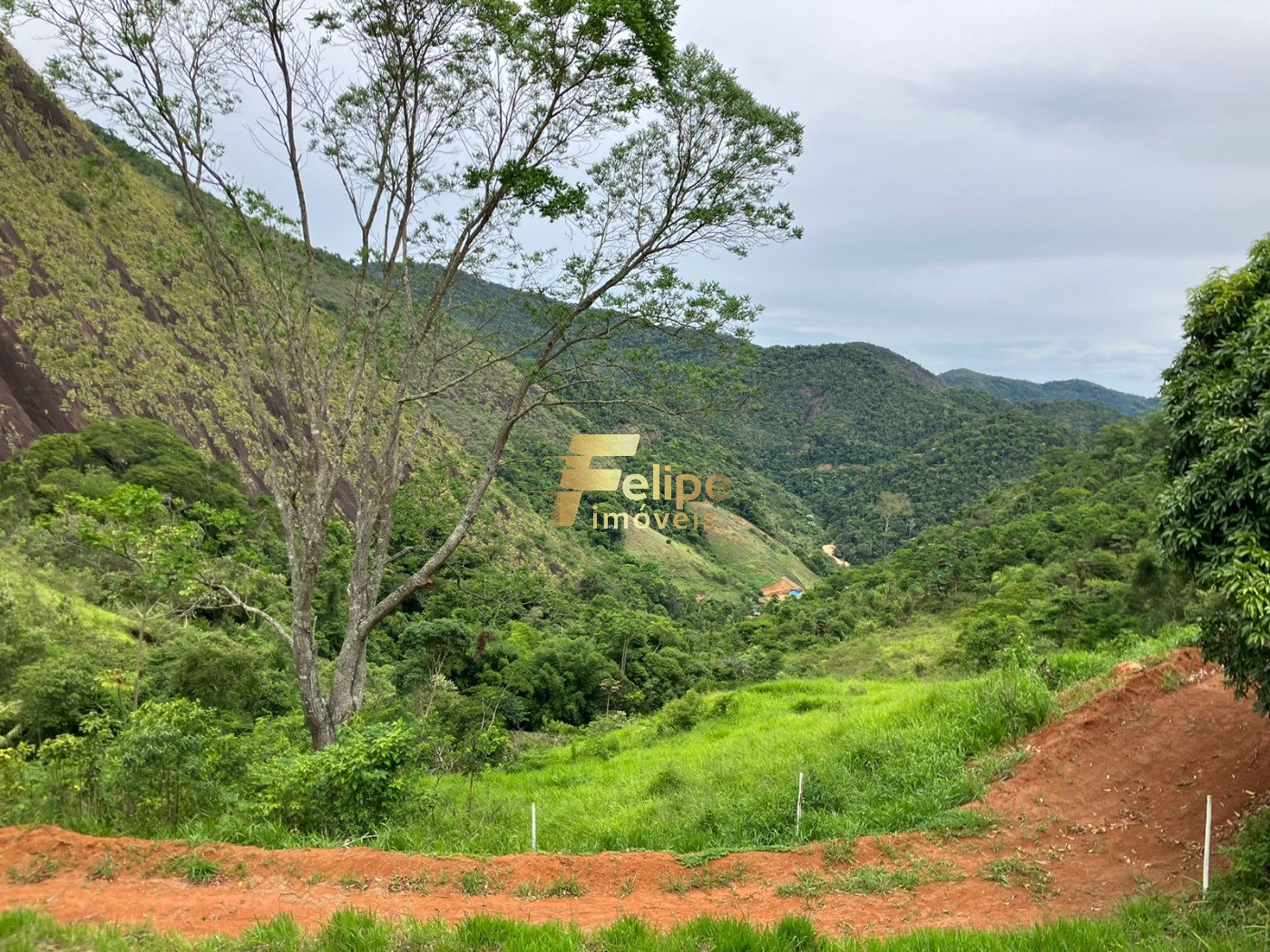 Chácara, 2 hectares - Foto 17