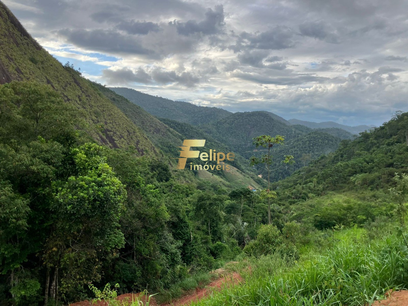 Chácara, 2 hectares - Foto 11
