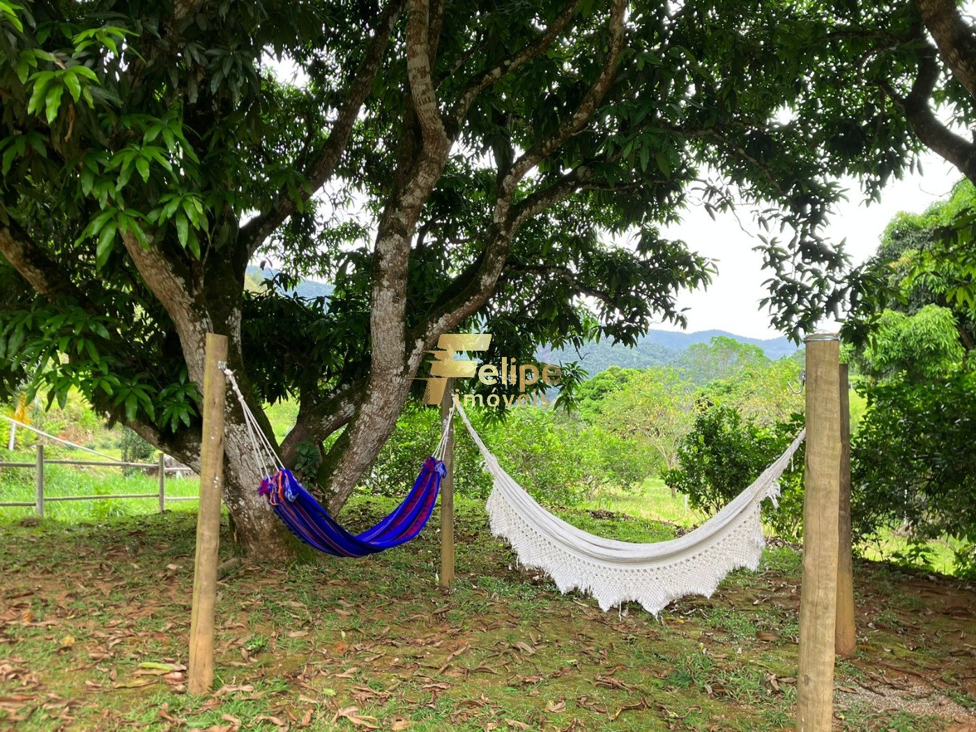 Chácara, 2 hectares - Foto 15