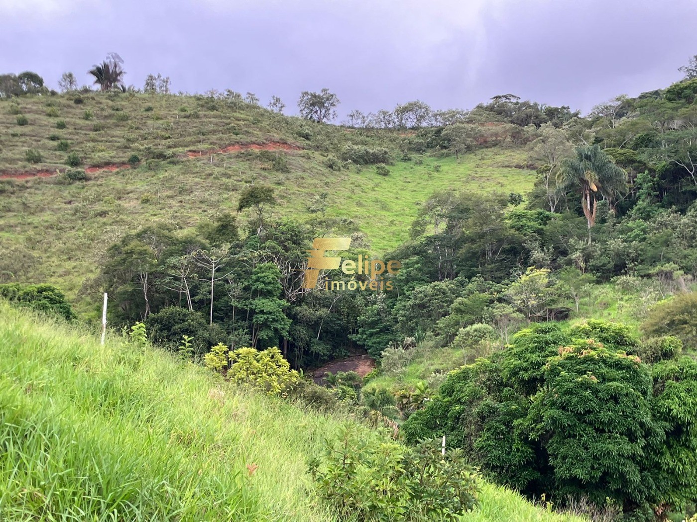 Chácara, 2 hectares - Foto 12