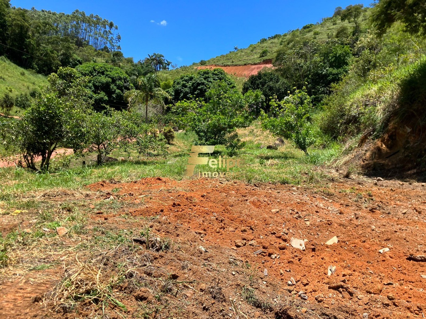 Chácara, 2 hectares - Foto 8