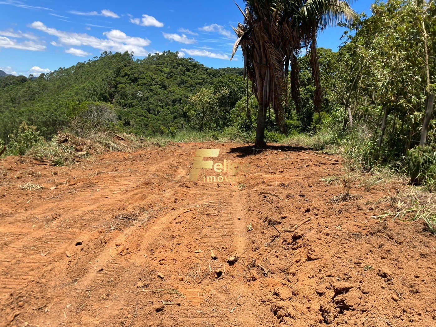 Chácara, 2 hectares - Foto 4