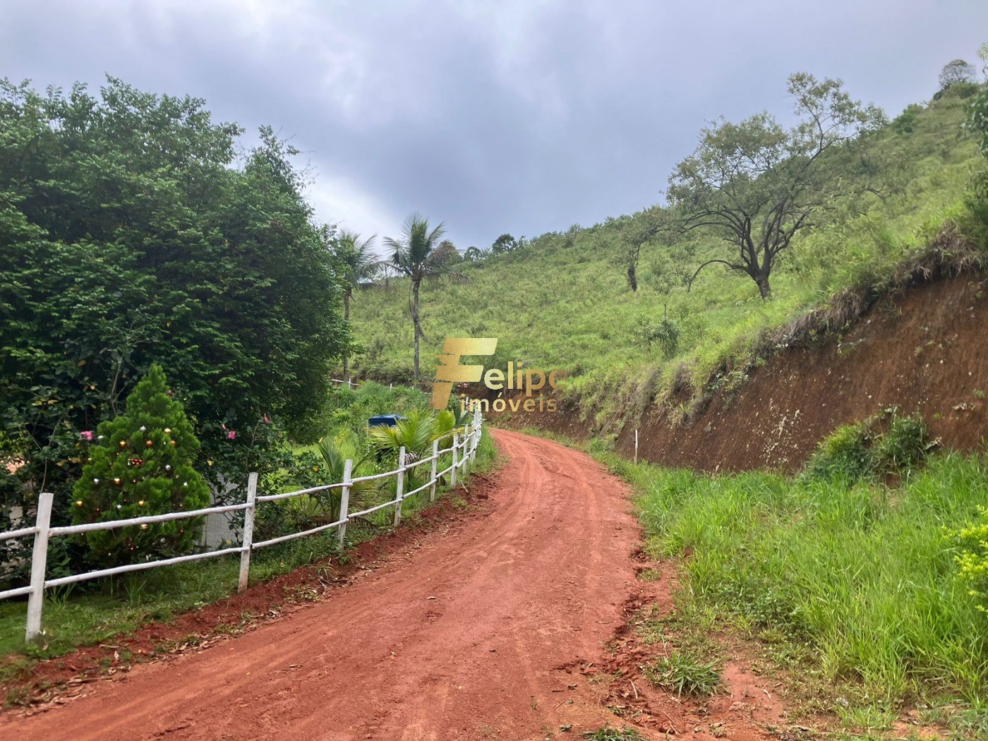Chácara, 2 hectares - Foto 18