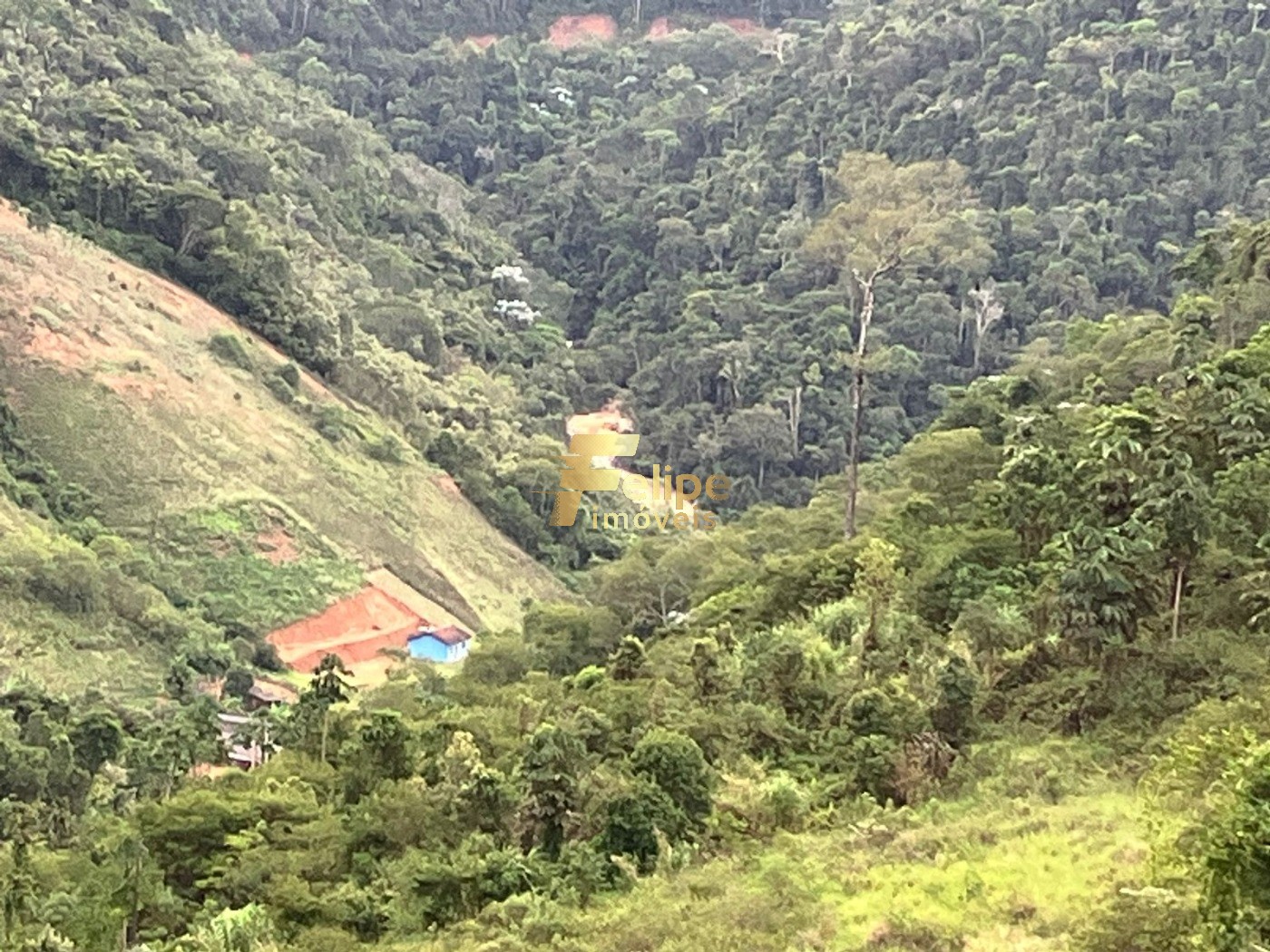 Chácara, 2 hectares - Foto 13