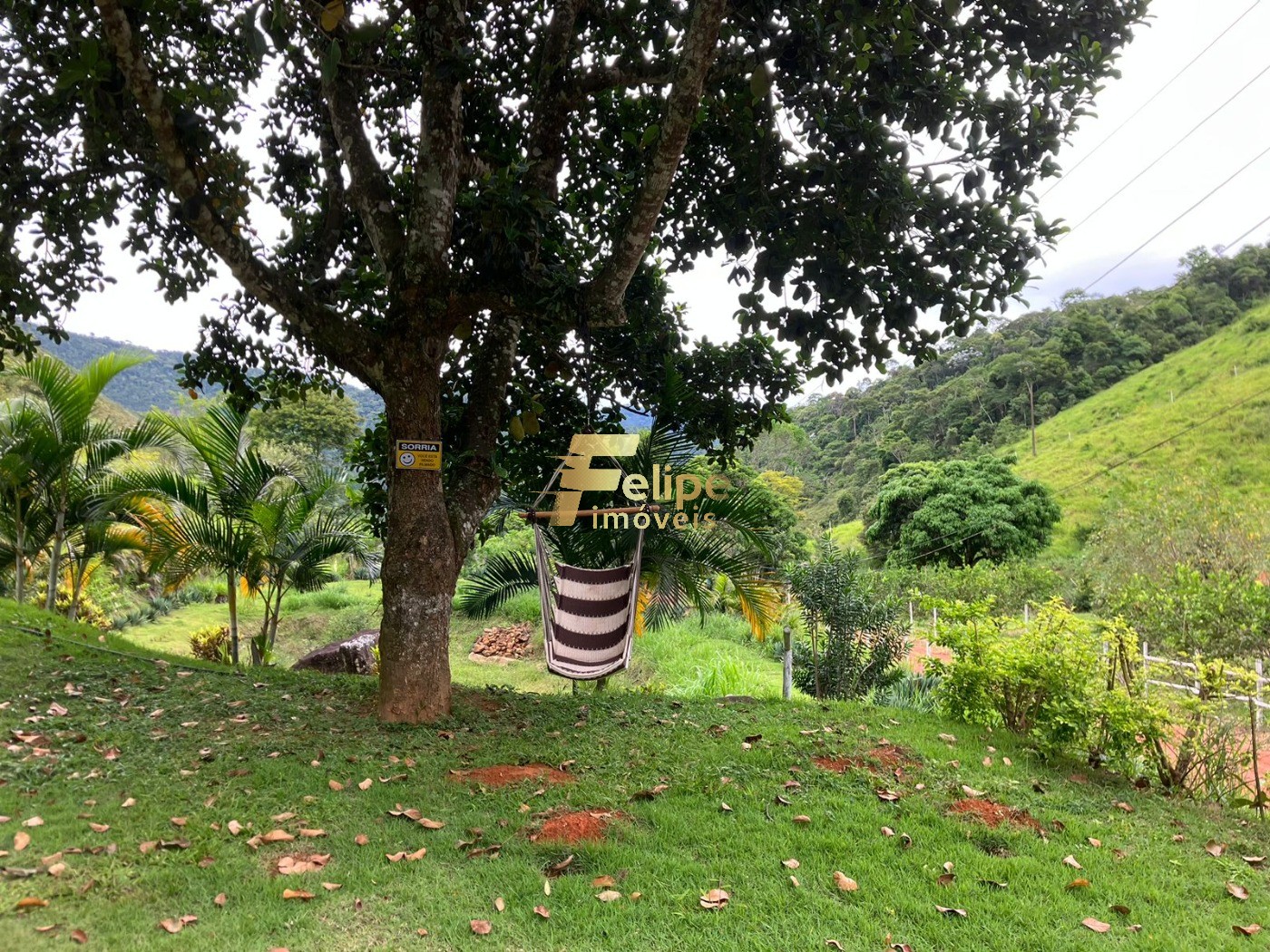 Chácara, 2 hectares - Foto 19