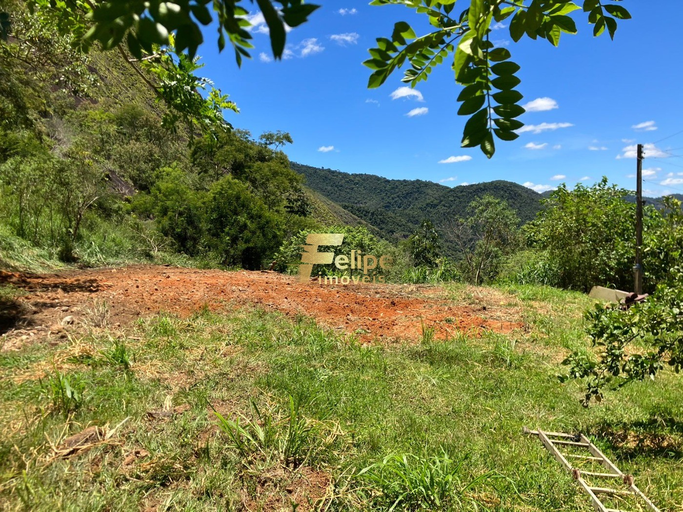 Chácara, 2 hectares - Foto 9