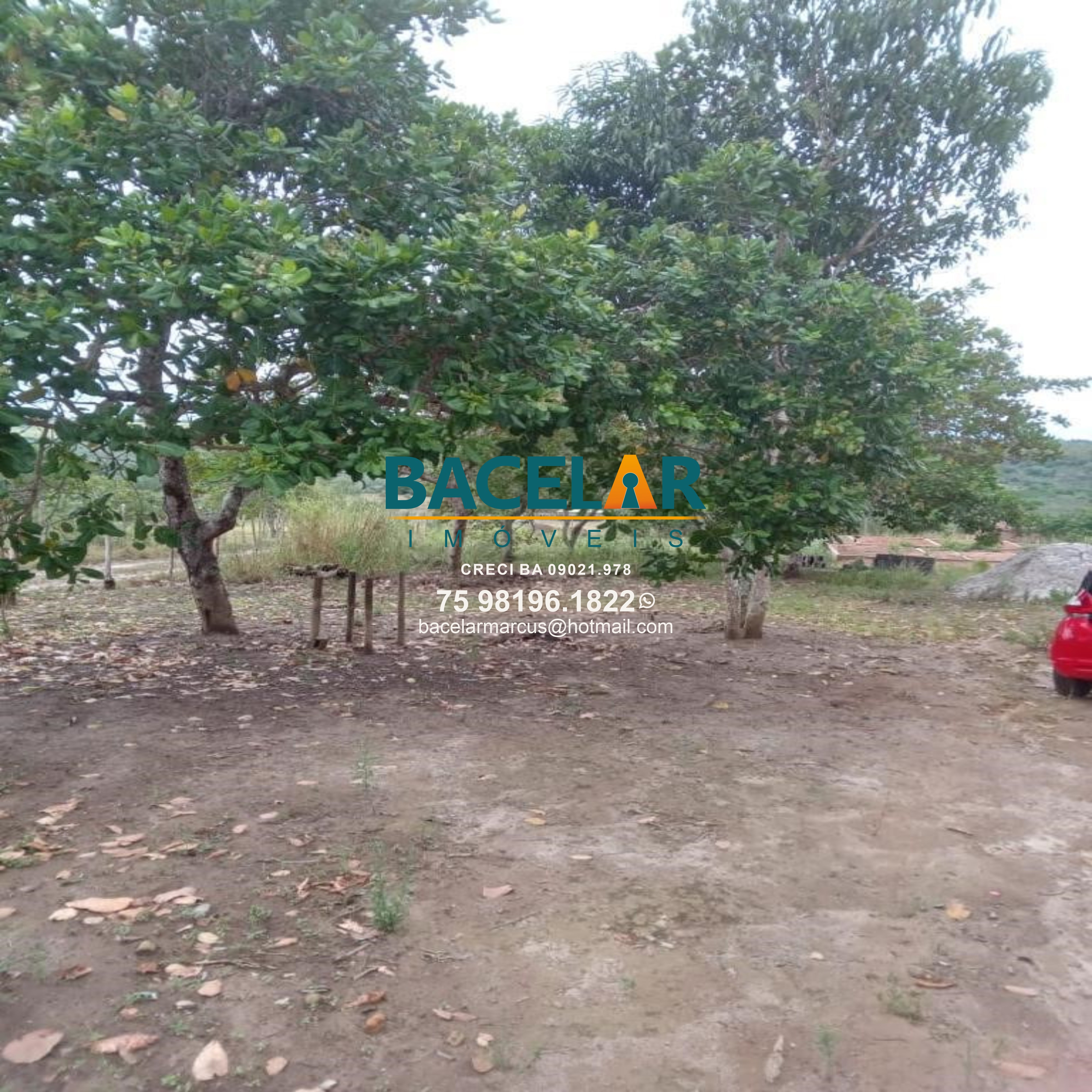 Chácara - Foto 8