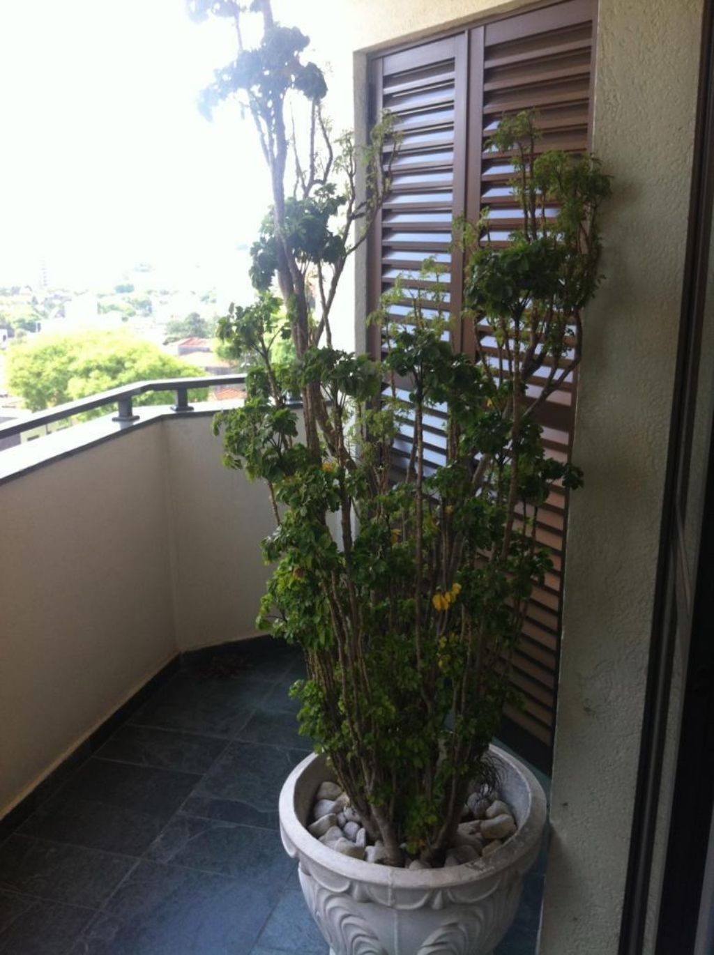 APARTAMENTO RESIDENCIAL em SANTO ANDRÉ - SP, Vila Floresta