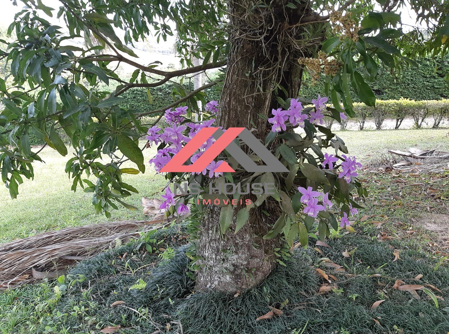 SITIO RESIDENCIAL em PIEDADE - SP, Roseiral