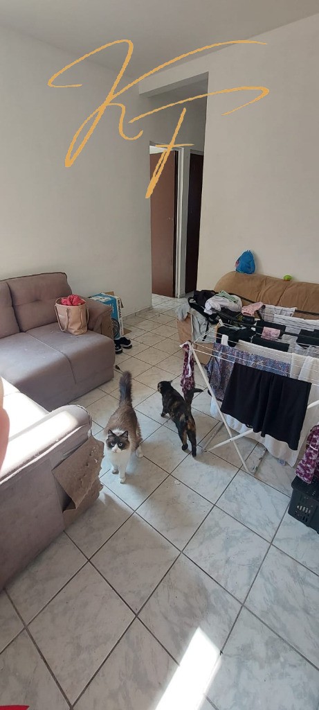 Apartamento, 2 quartos, 48 m² - Foto 13