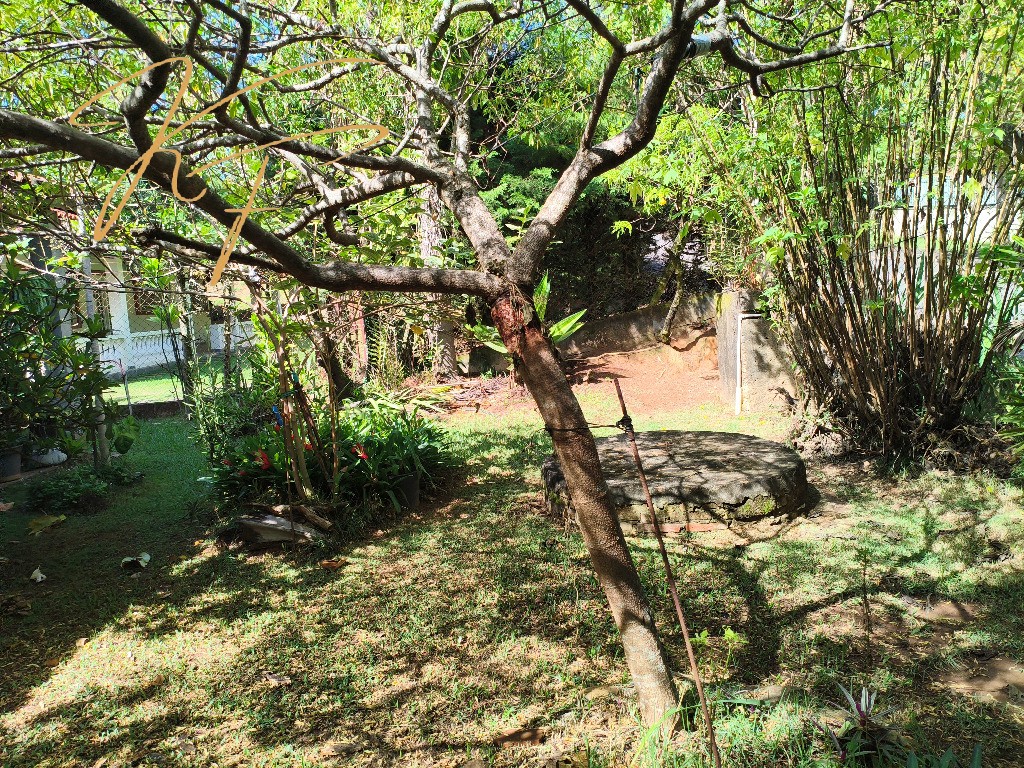 Chácara, 3 quartos - Foto 36