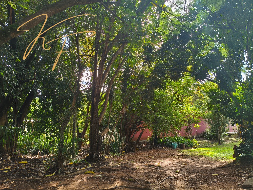 Chácara, 3 quartos - Foto 2