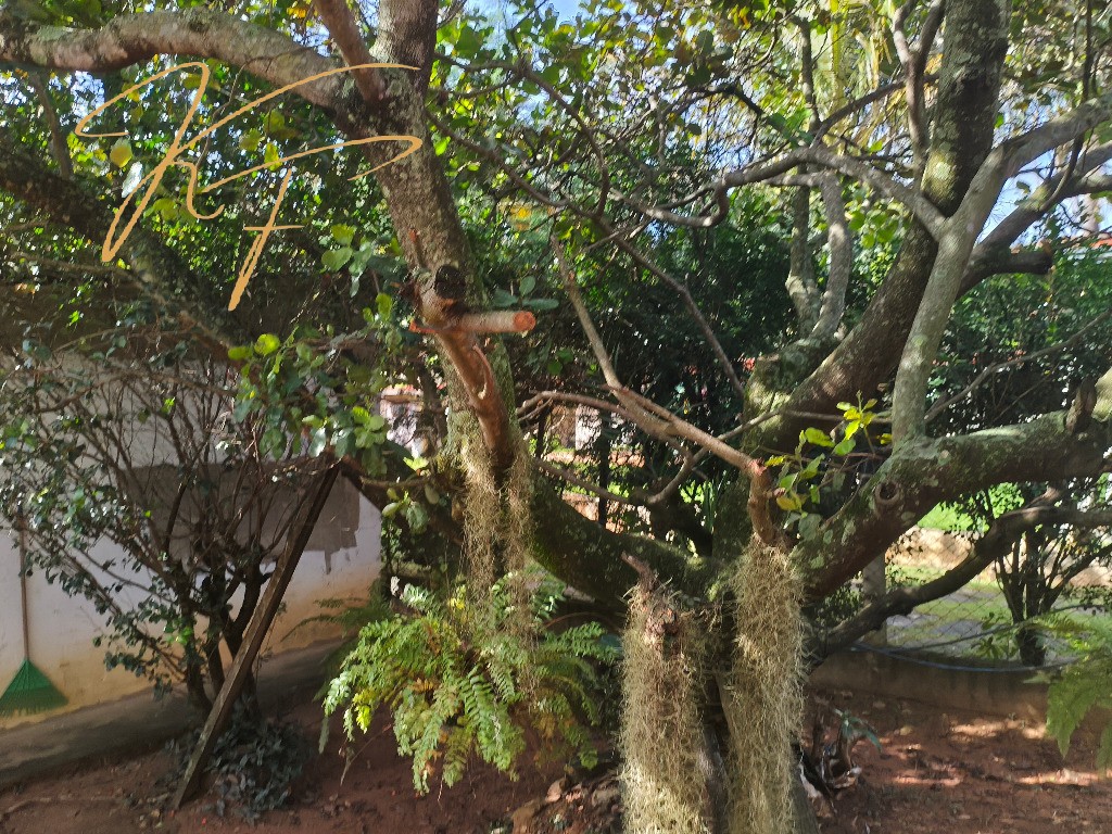 Chácara, 3 quartos - Foto 19