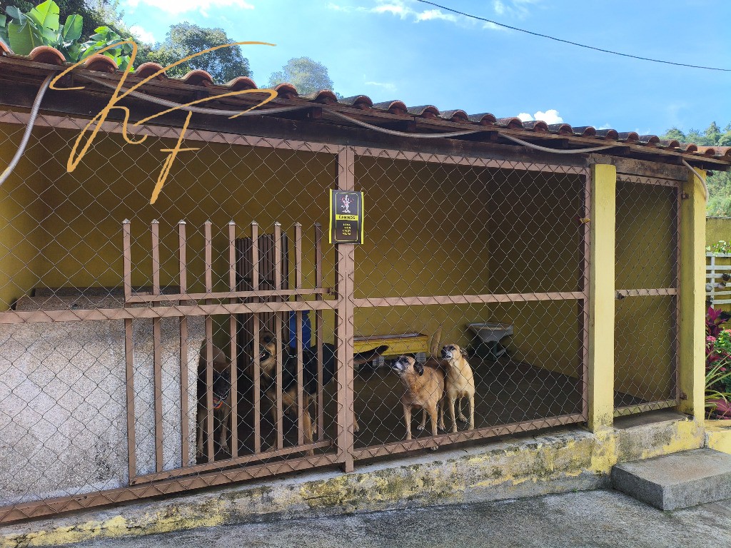 Sítio, 6 quartos, 250 m² - Foto 38