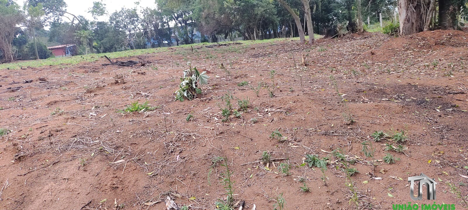 Terreno, 9260 m² - Foto 7