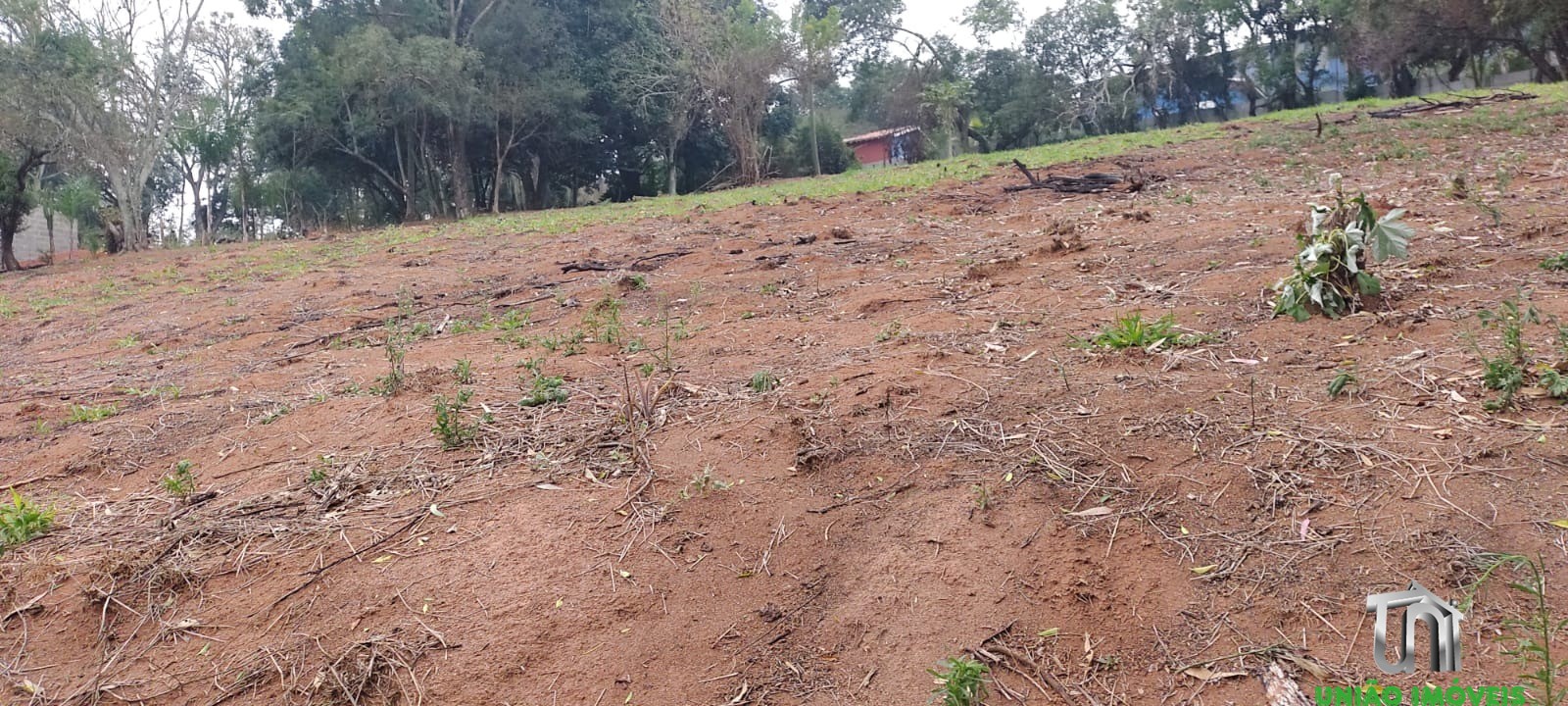 Terreno, 9260 m² - Foto 6