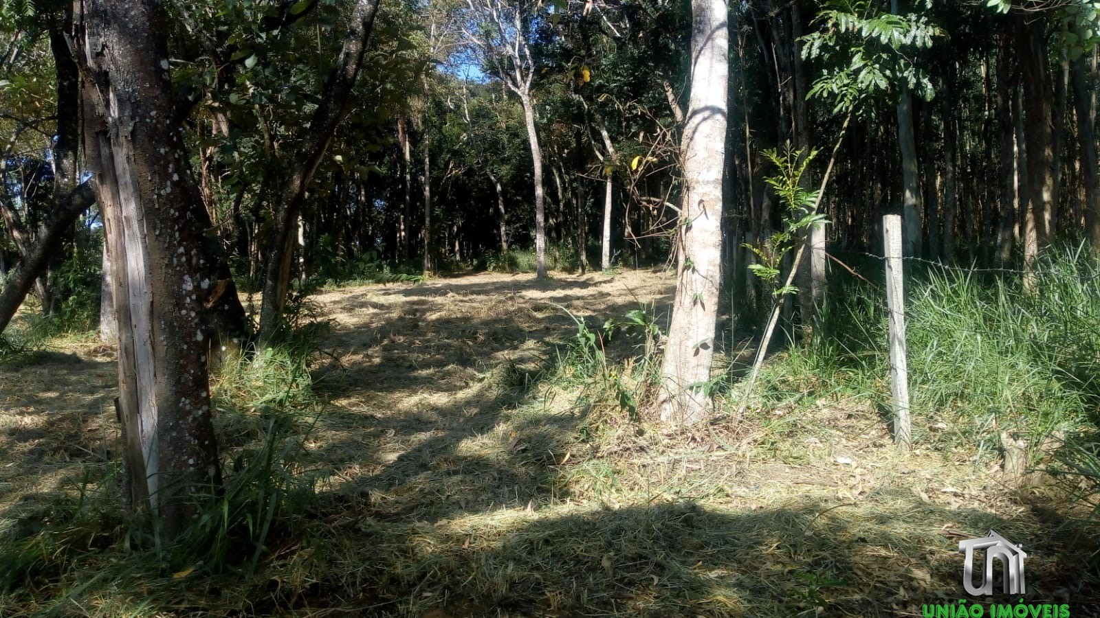 Terreno à venda, 2800m² - Foto 10