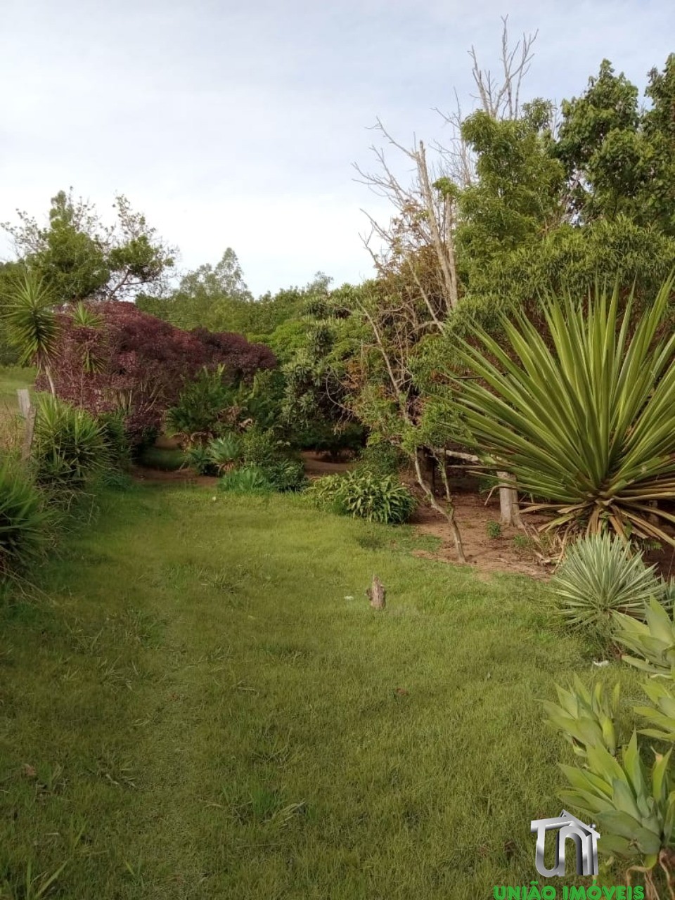 Fazenda à venda com 5 quartos, 9000m² - Foto 19