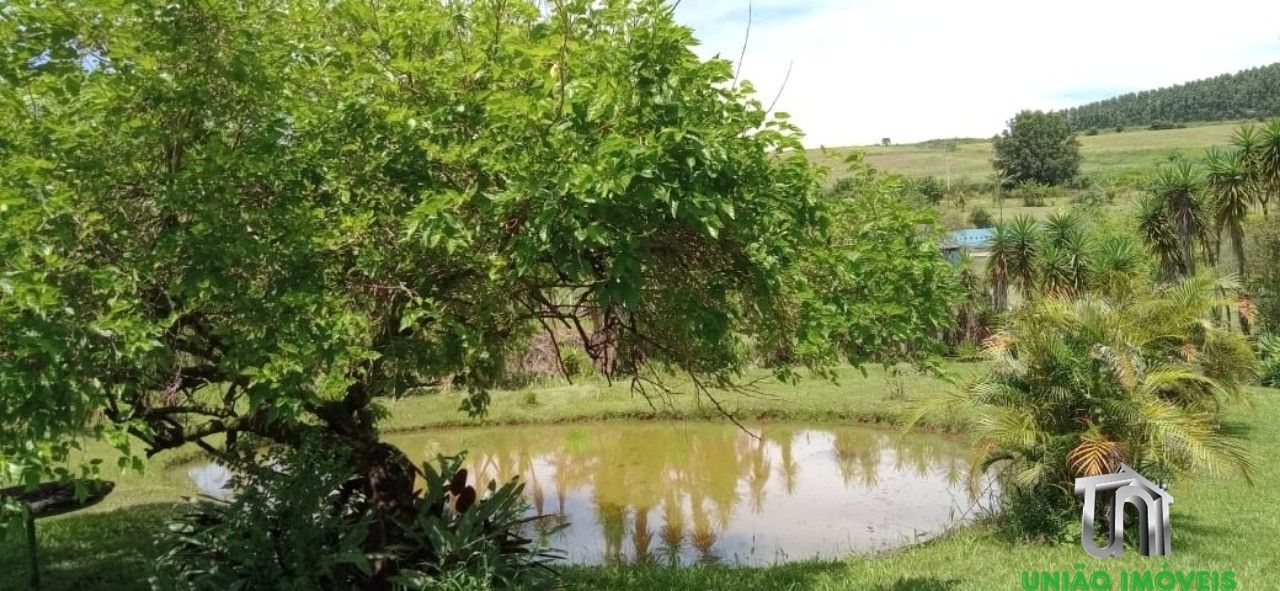 Fazenda à venda com 5 quartos, 9000m² - Foto 8