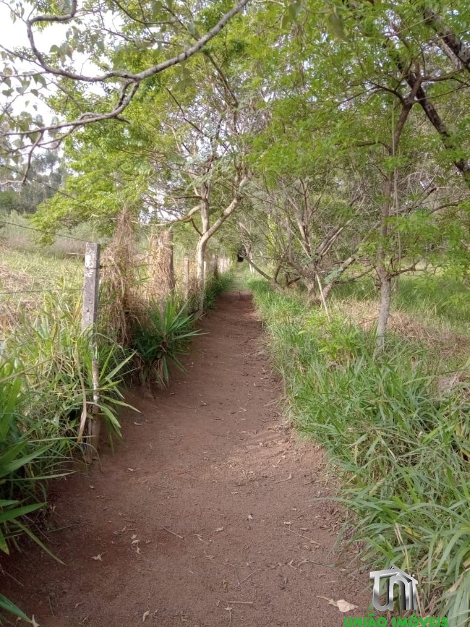 Fazenda à venda com 5 quartos, 9000m² - Foto 18