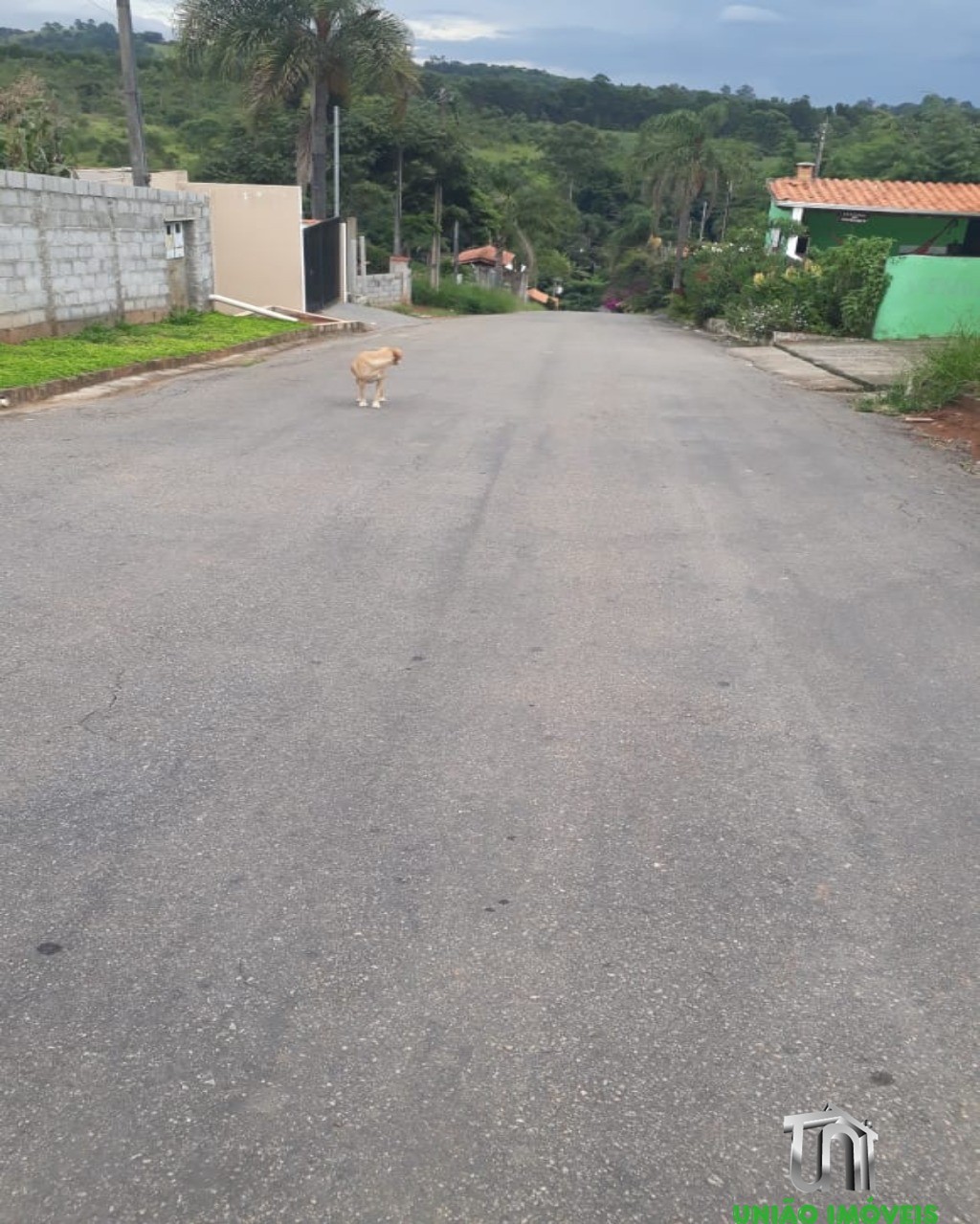 Fazenda à venda com 2 quartos, 1000m² - Foto 20