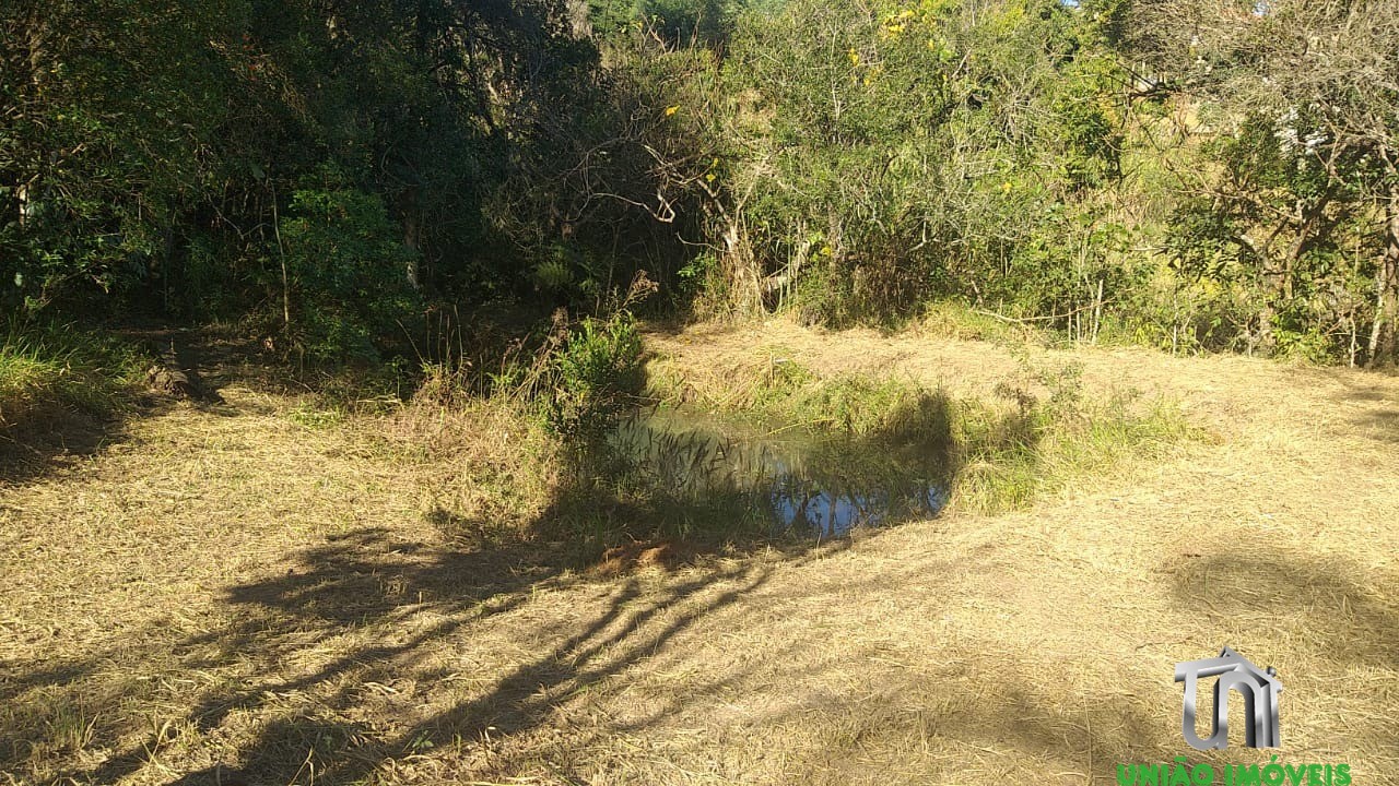 Fazenda à venda com 3 quartos - Foto 12