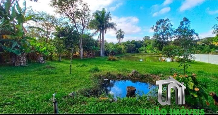 Fazenda à venda com 4 quartos - Foto 4