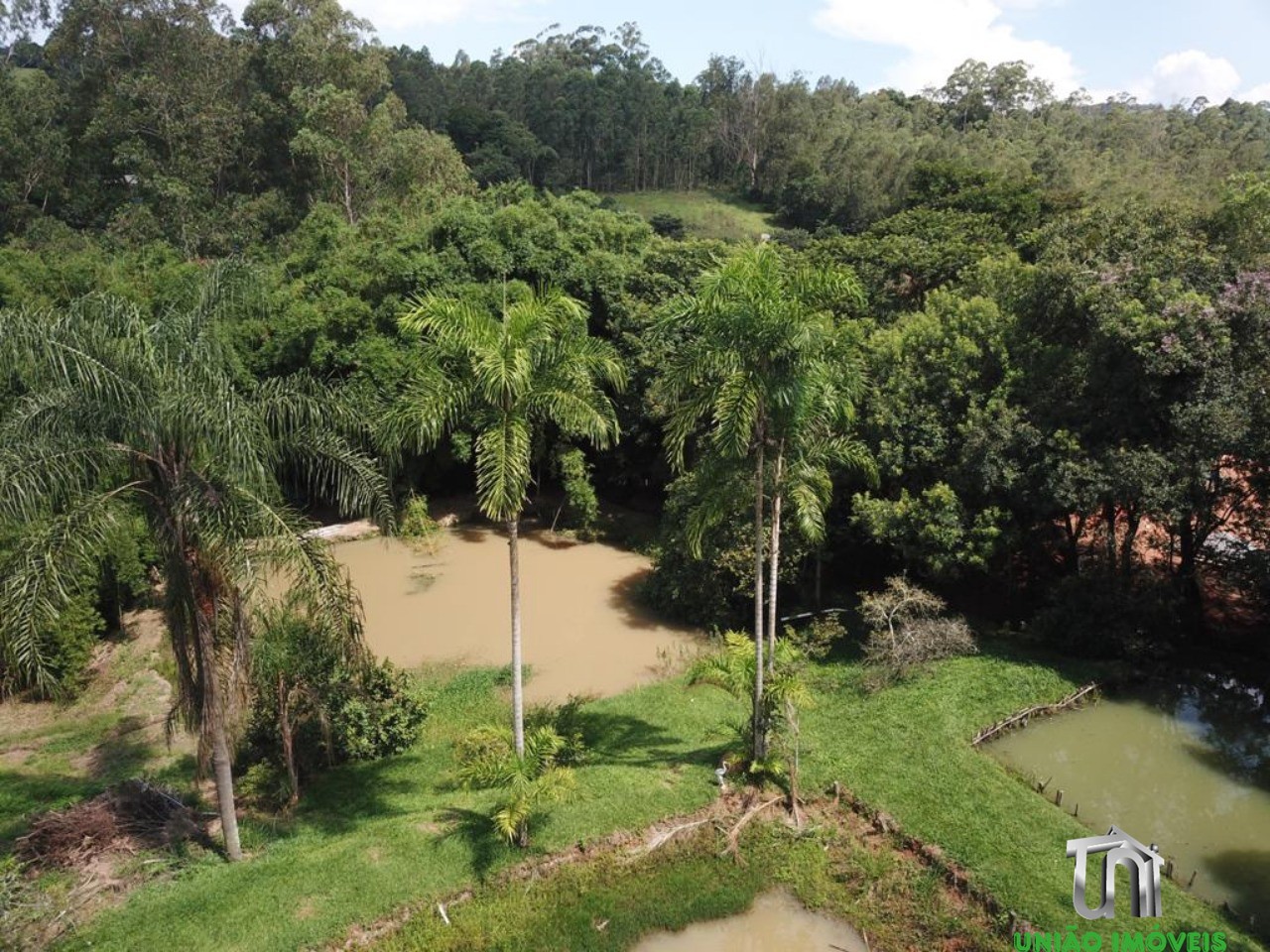 Fazenda à venda e aluguel com 4 quartos - Foto 5