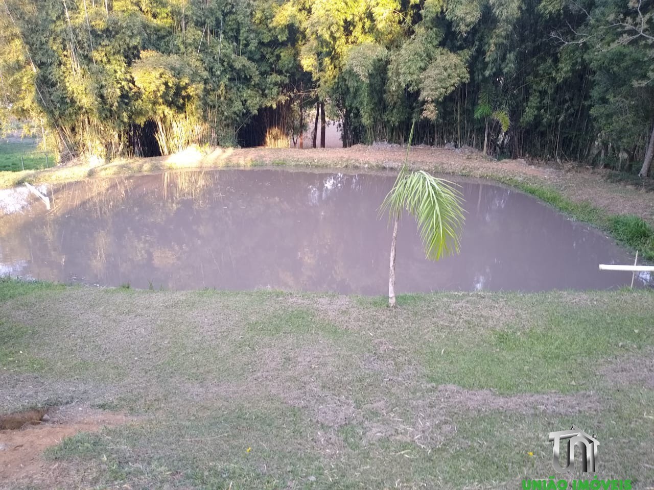 Fazenda à venda e aluguel com 4 quartos - Foto 21