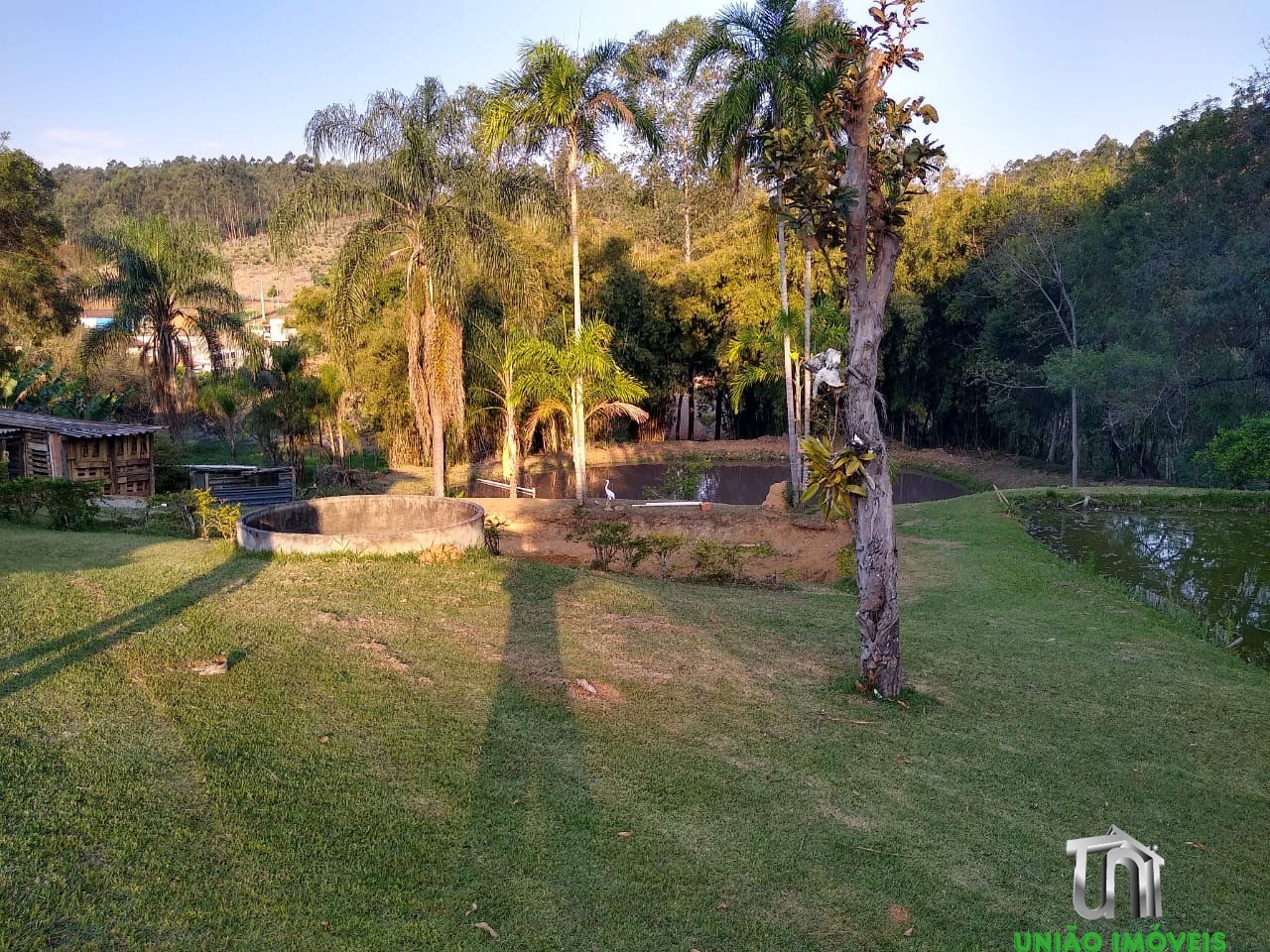 Fazenda à venda e aluguel com 4 quartos - Foto 6