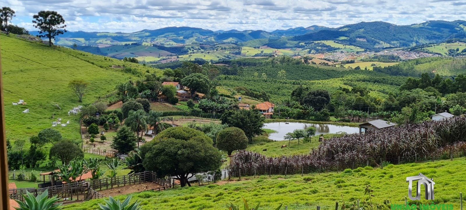 Fazenda à venda com 3 quartos - Foto 11