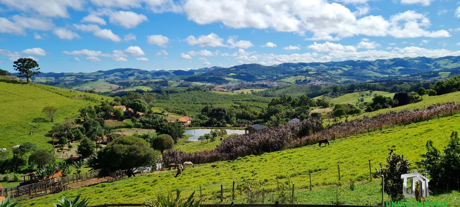 Fazenda à venda com 3 quartos - Foto 16