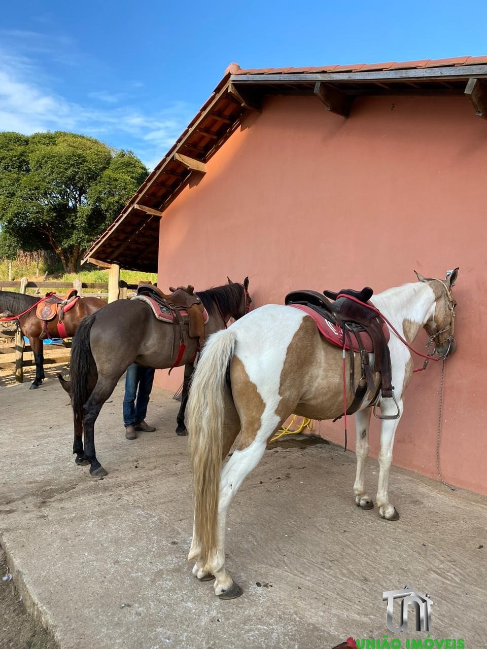 Fazenda à venda com 3 quartos - Foto 37