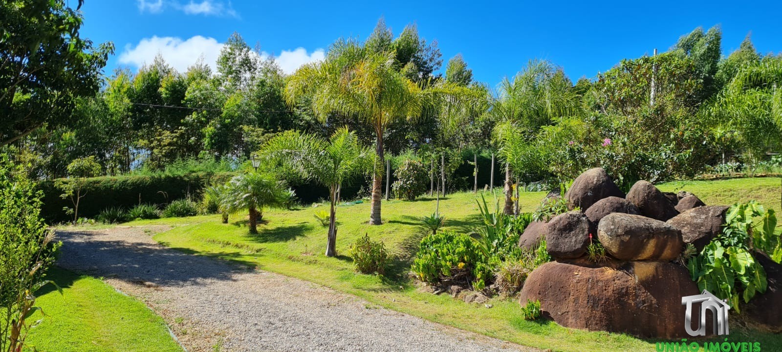 Fazenda à venda com 3 quartos - Foto 18