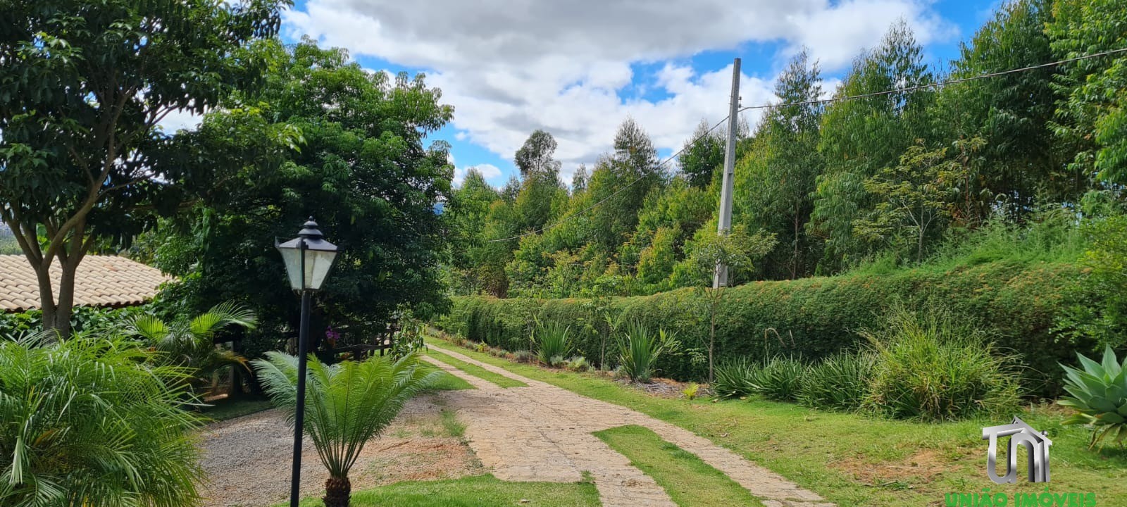 Fazenda à venda com 3 quartos - Foto 35