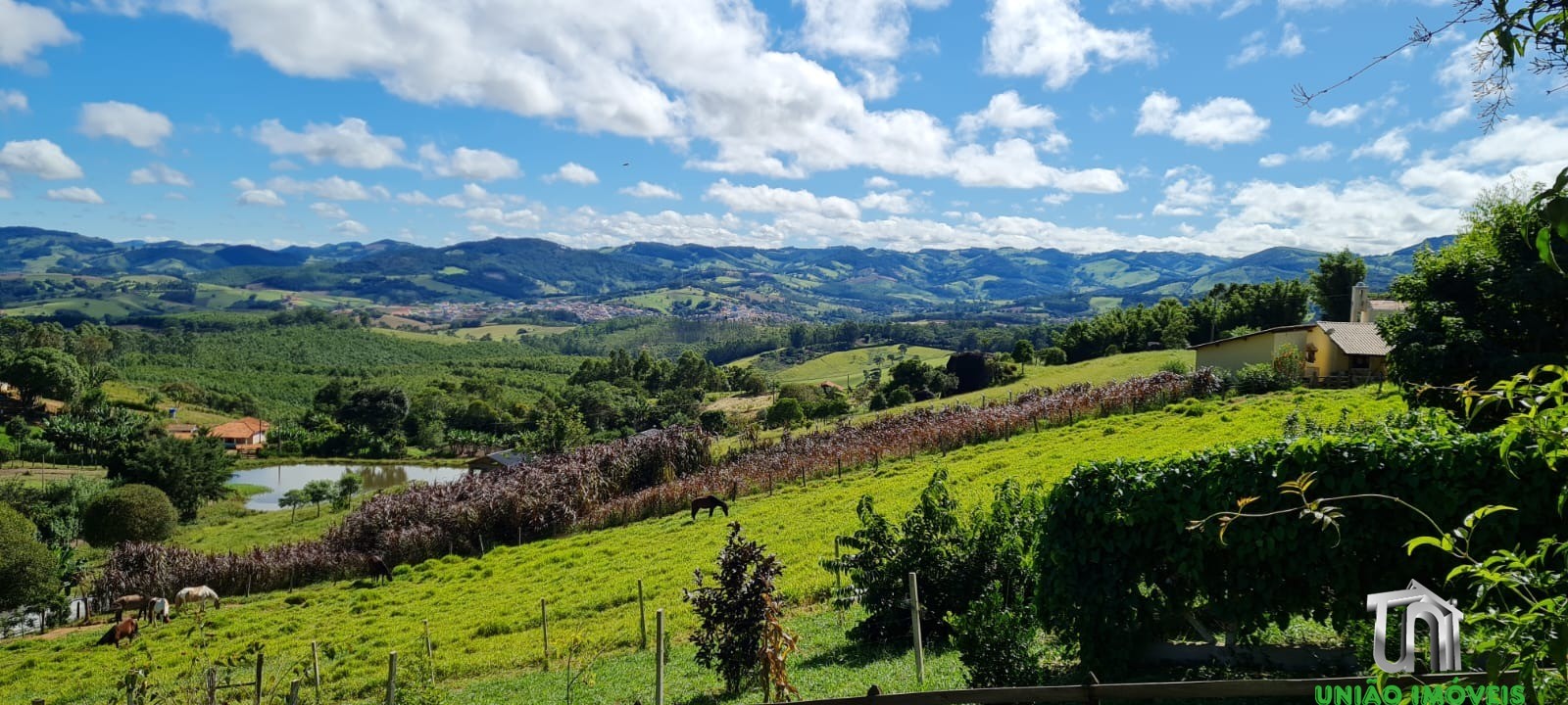 Fazenda à venda com 3 quartos - Foto 38