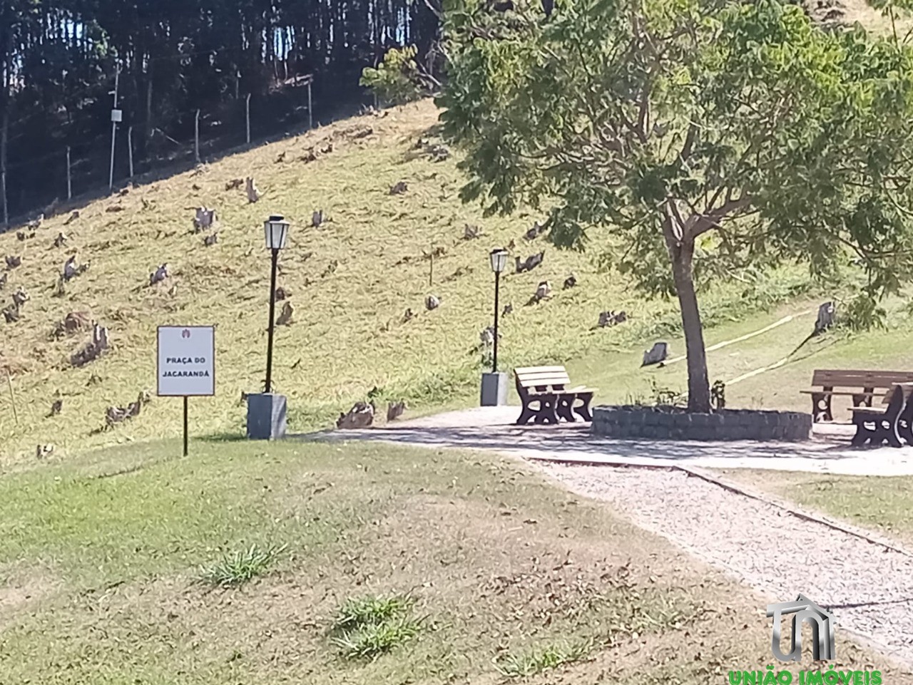 Terreno à venda, 600m² - Foto 7