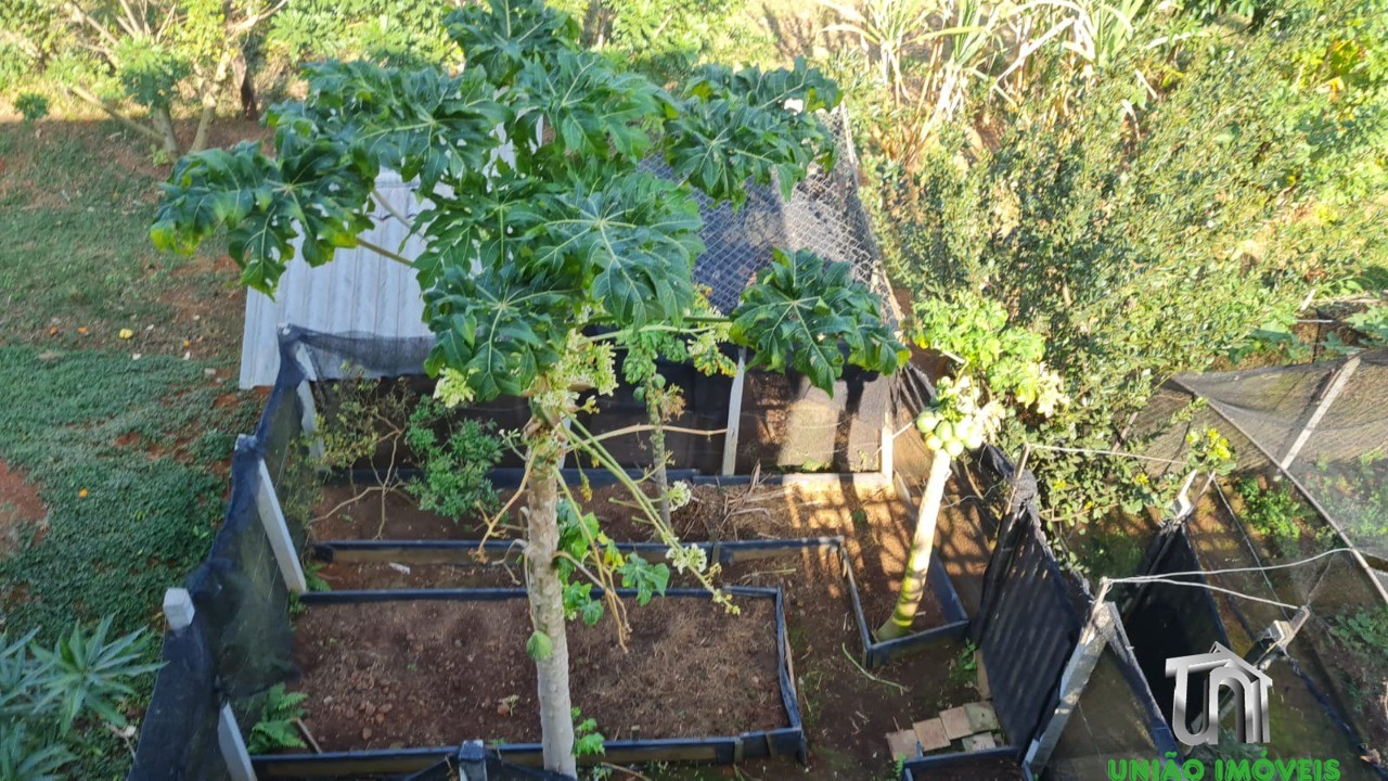 Fazenda à venda com 4 quartos - Foto 19