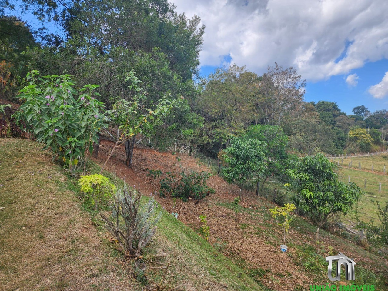 Fazenda à venda com 4 quartos - Foto 18