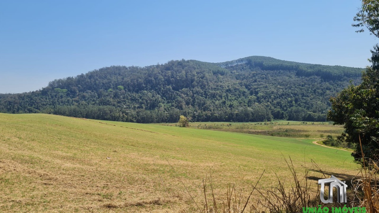 Fazenda à venda com 3 quartos - Foto 11