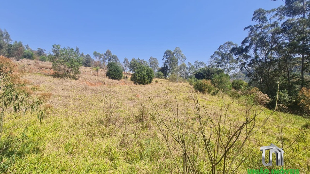 Fazenda à venda com 3 quartos - Foto 45