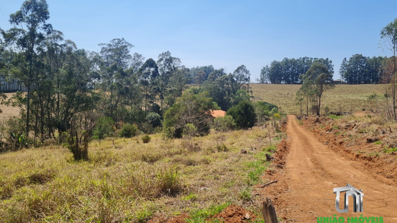 Fazenda à venda com 3 quartos - Foto 44