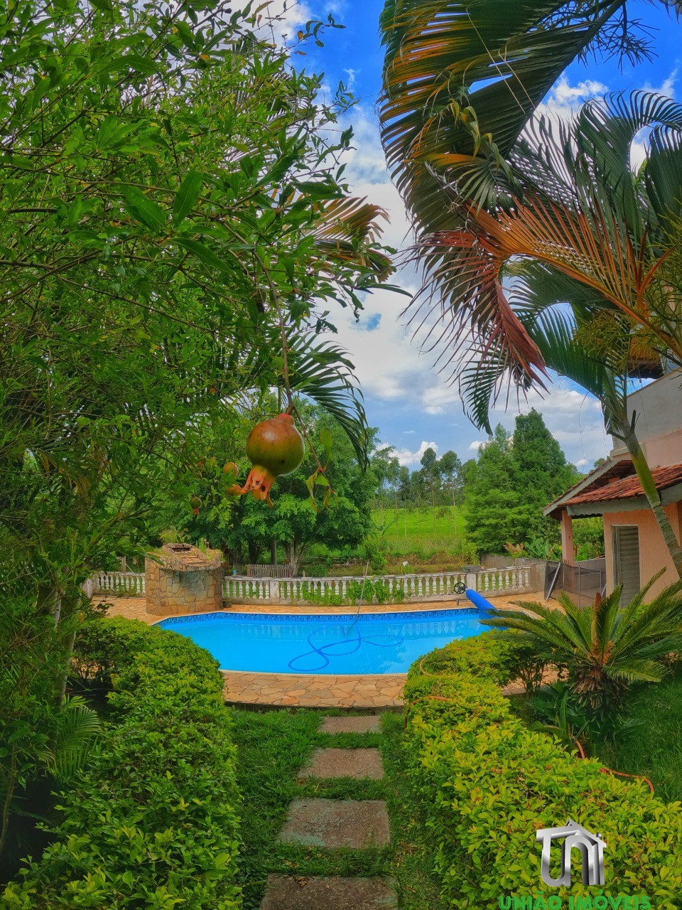 Fazenda à venda com 3 quartos - Foto 18