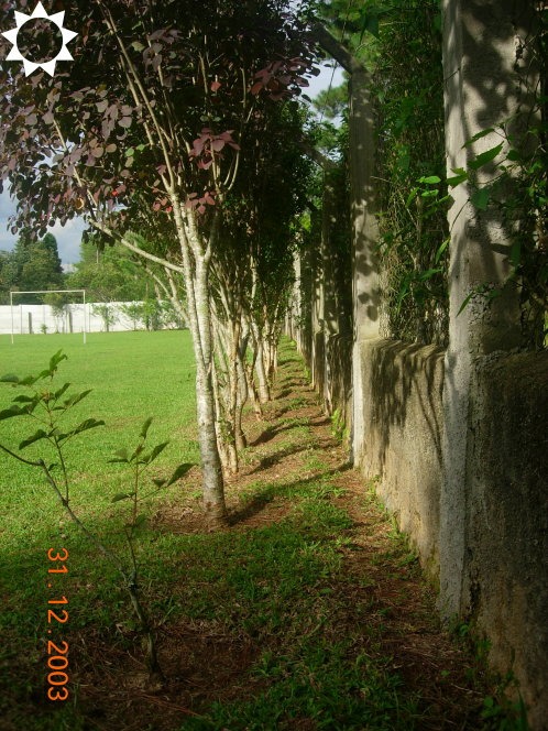 Fazenda à venda com 3 quartos, 450m² - Foto 12