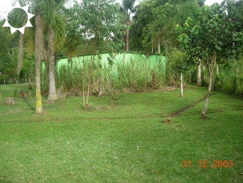 Fazenda à venda com 3 quartos, 450m² - Foto 29